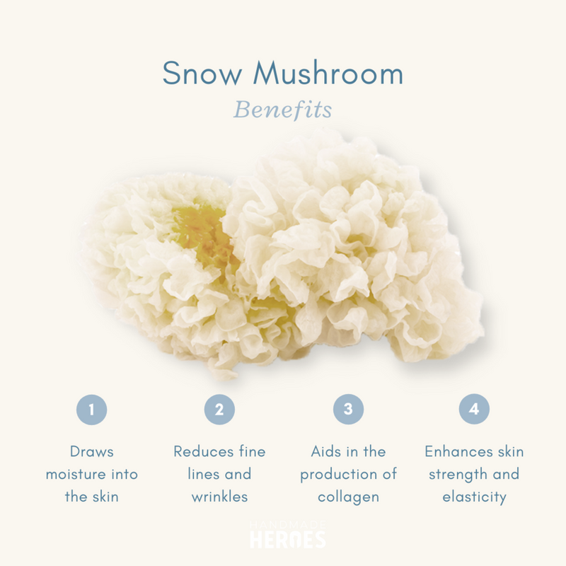The Ultimate Snow Shroom HA Serum